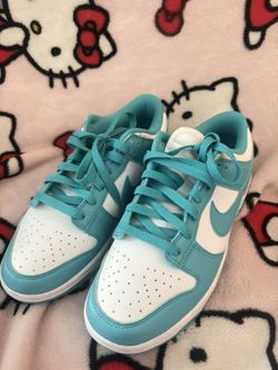 Nike Dunk Low Next Nature (it’s like a teal color)