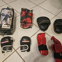 Martial arts and boxing gloves