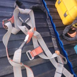 Harness And Lanyard