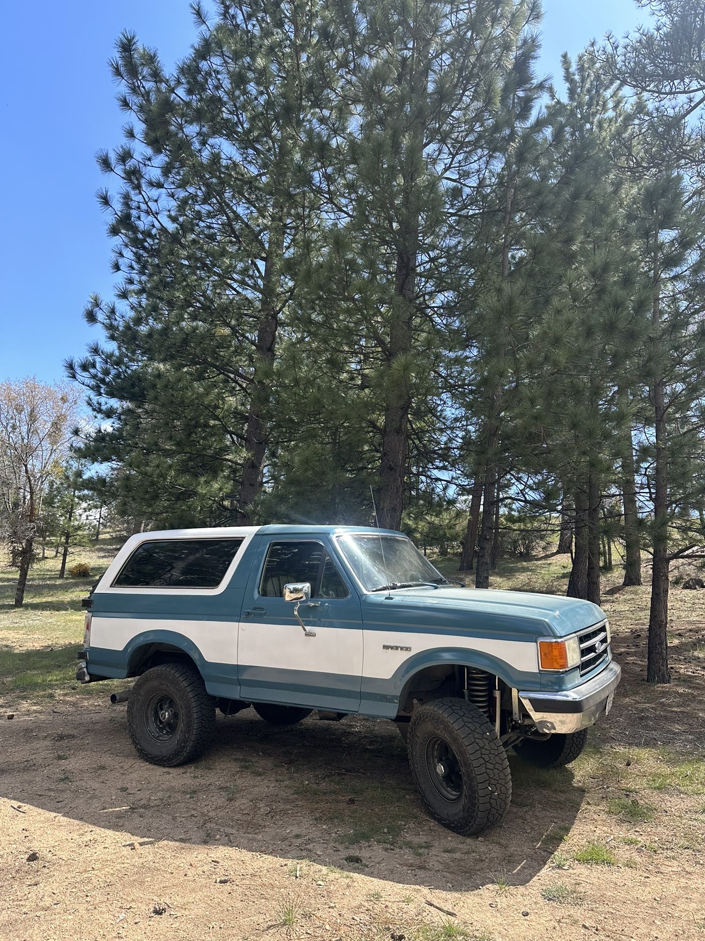 1989 Ford Bronco