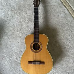 Acoustic Guitar - Hagstrom 