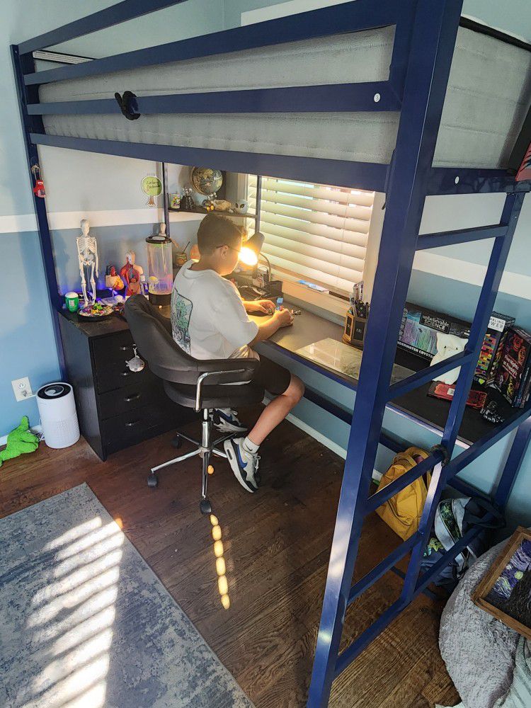 Navy Blue Twin Loft Bed With Built-in Desk And Shelves 