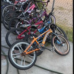 LAST BIKES 