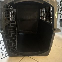 Dog Kennel 