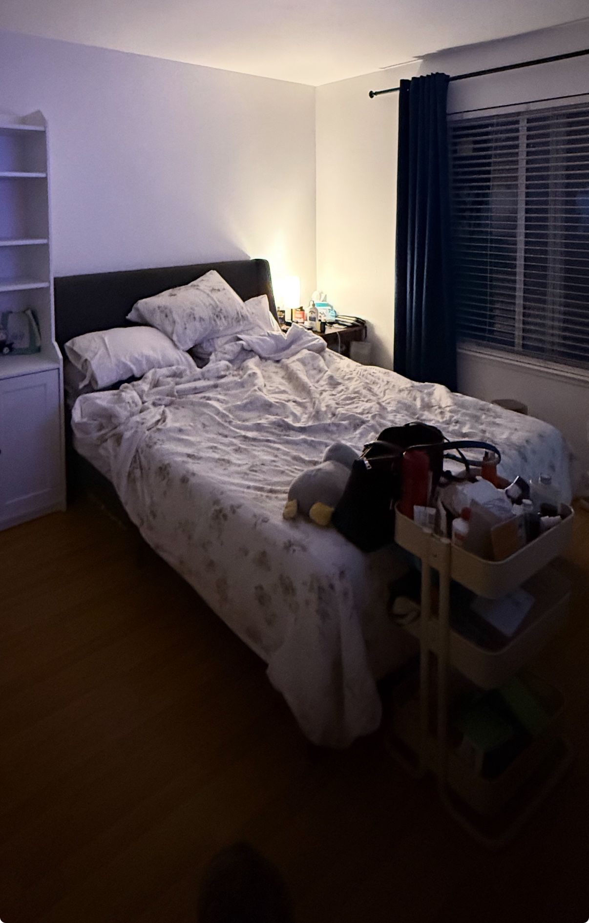 Free Queen Bed Frame 