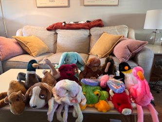 Beanie buddy collection