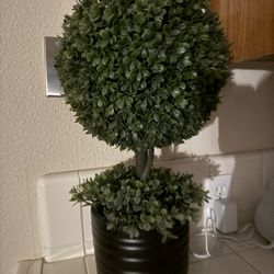 Fake Plant
