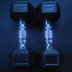 Rogue 17.5lbs  dumbells Weights