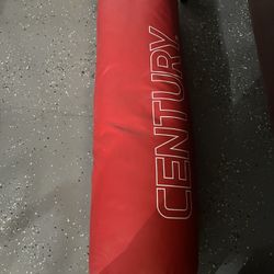 Punching Bag