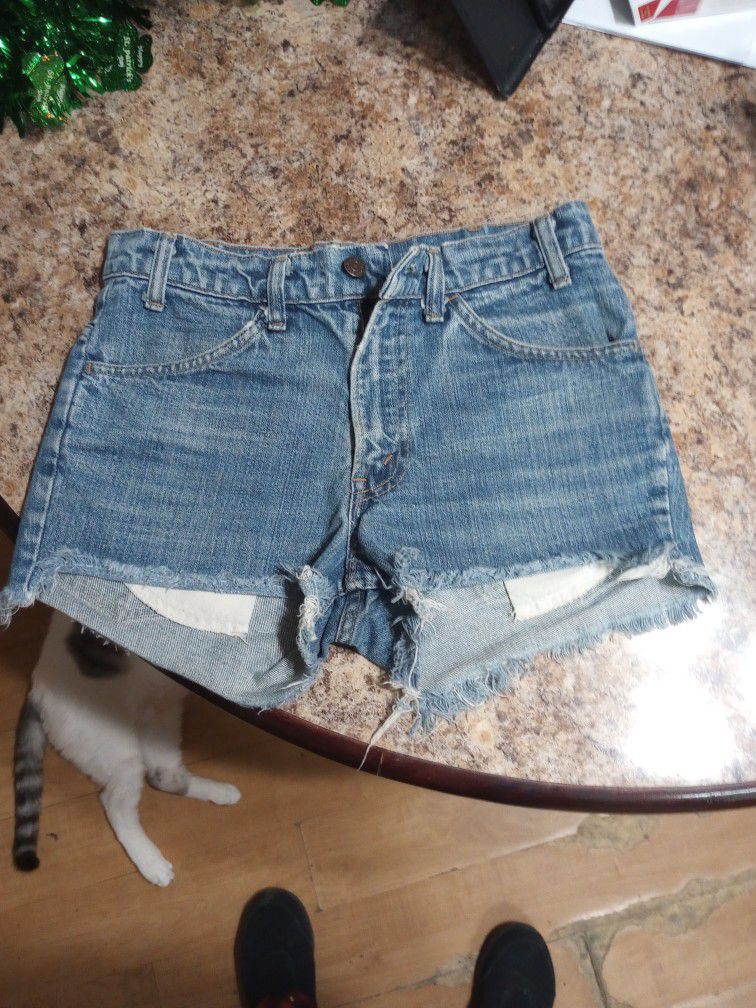 1980s Daisy Duke Shorts, Wore In The Late 1970. Size 6 To 8 Not Sure What Size. Perfect Condition  Have Been In My Dresser For 20 Years Now