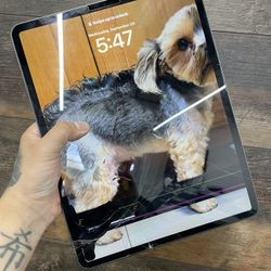 iPad 12.9 4th Gen Screen 