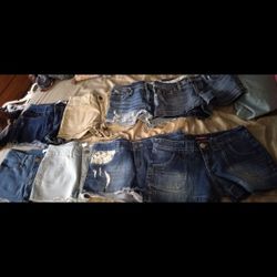 Woman Shorts 