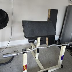 Preacher Curl Bench 