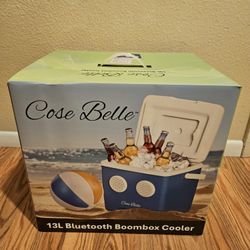 Cooler With Bluetooth Speaker