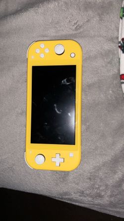 Nintendo switch lite