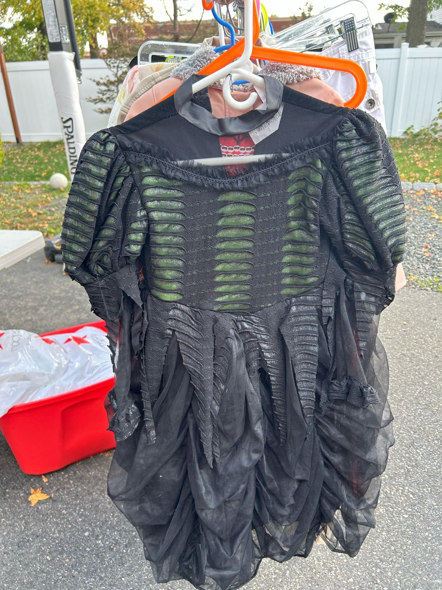 Halloween Wish Costume