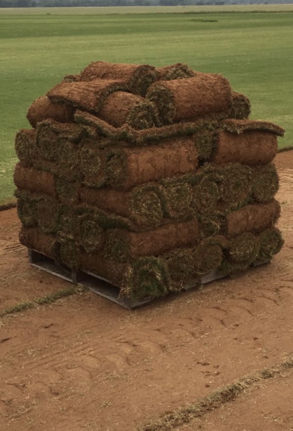 Sod pallets (Astro Bermuda) for Sale in McKinney, TX OfferUp