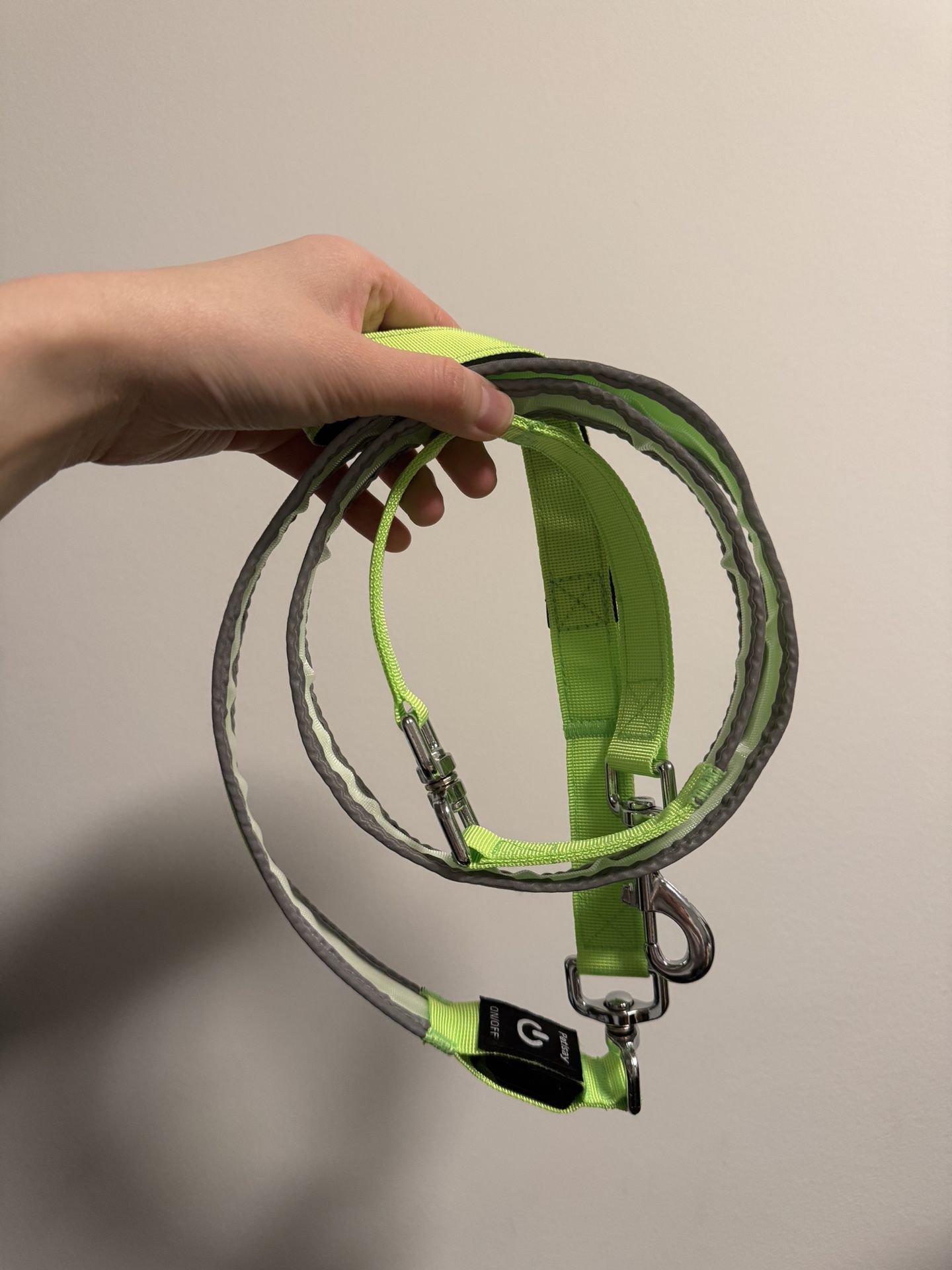 LED Dog Leash