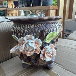Sccuclents Pot