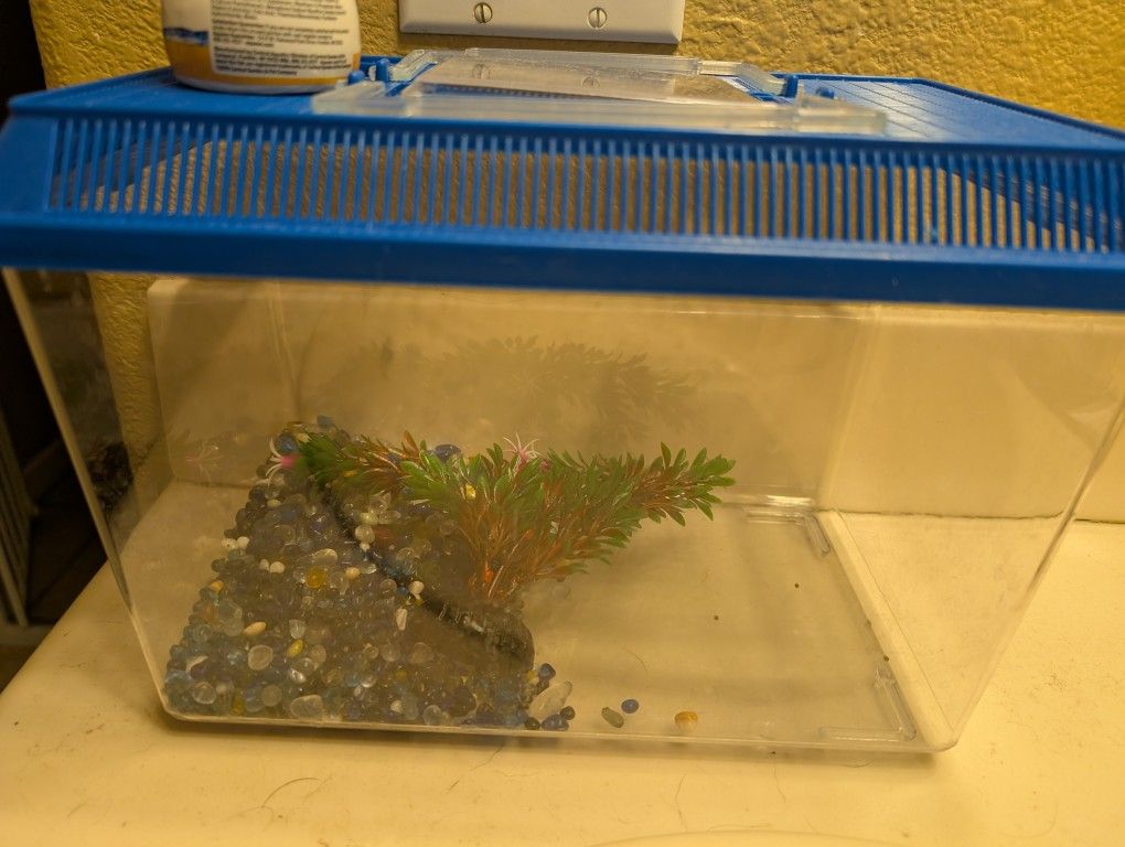 Fish Tank And Supplies