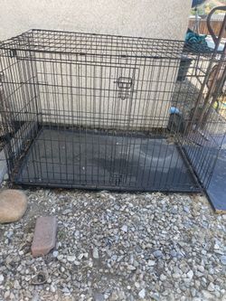 Large animal cage