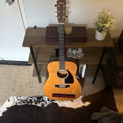 Eterna Acoustic Full Size Guitar 