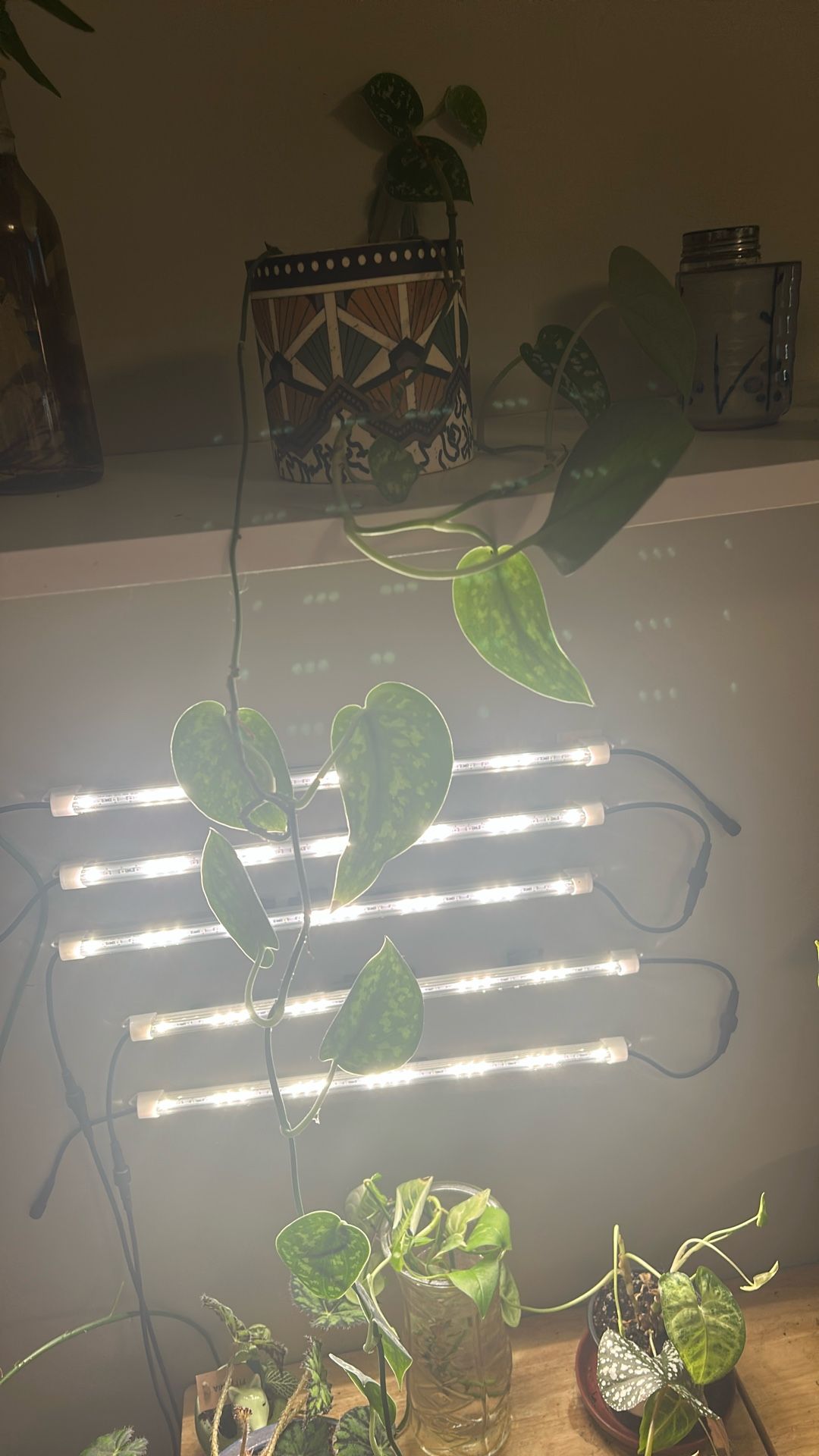 Silk Pot Plant With Pot