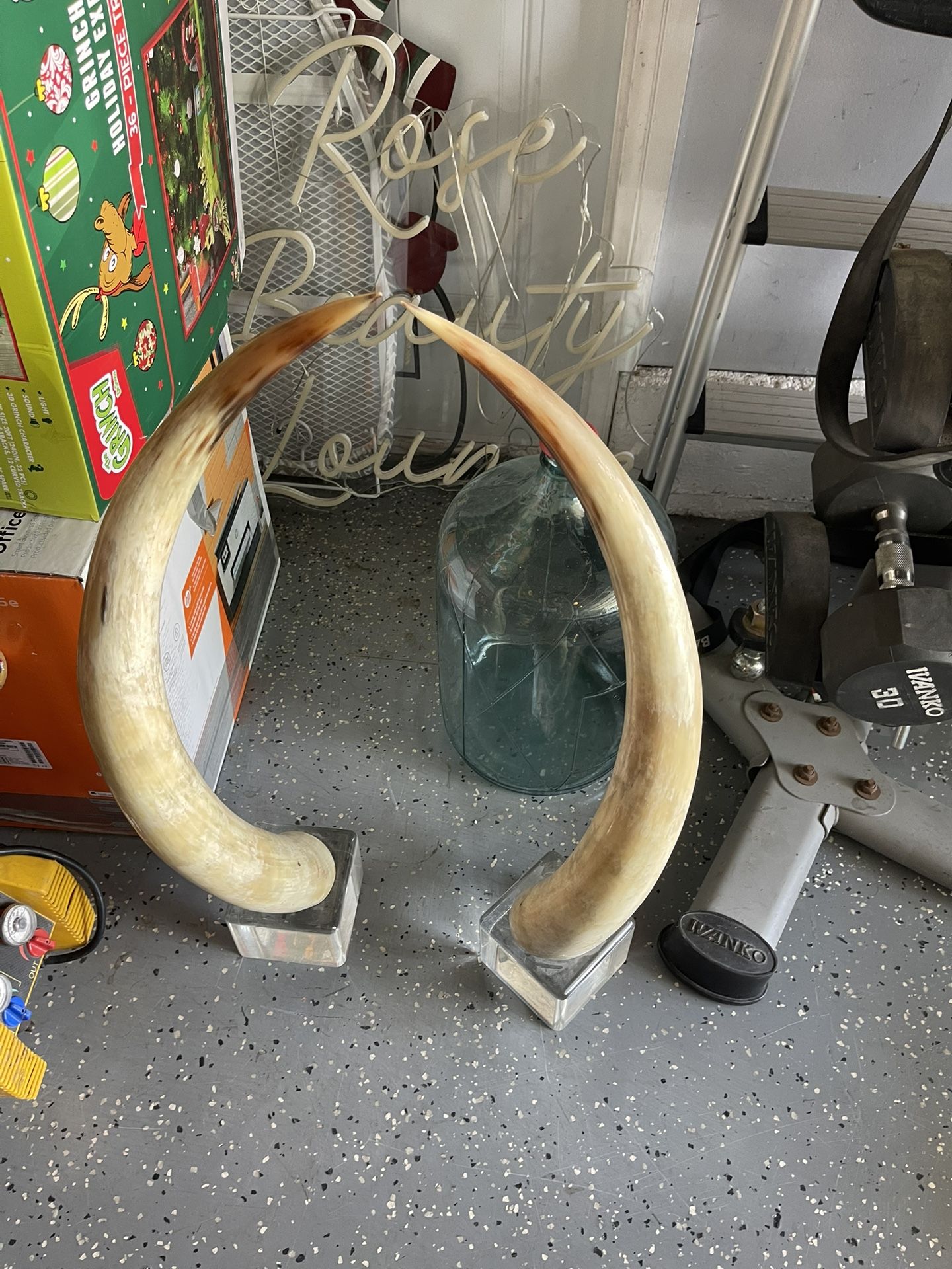Pair Of Cow Horn