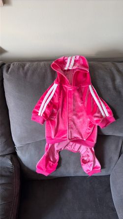 Dog Jogging Suit