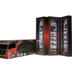 Hot wheels super treasure hunt 2025 set