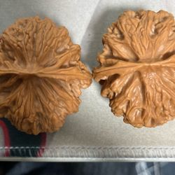 Wenwan walnut grows naturally, can be collected