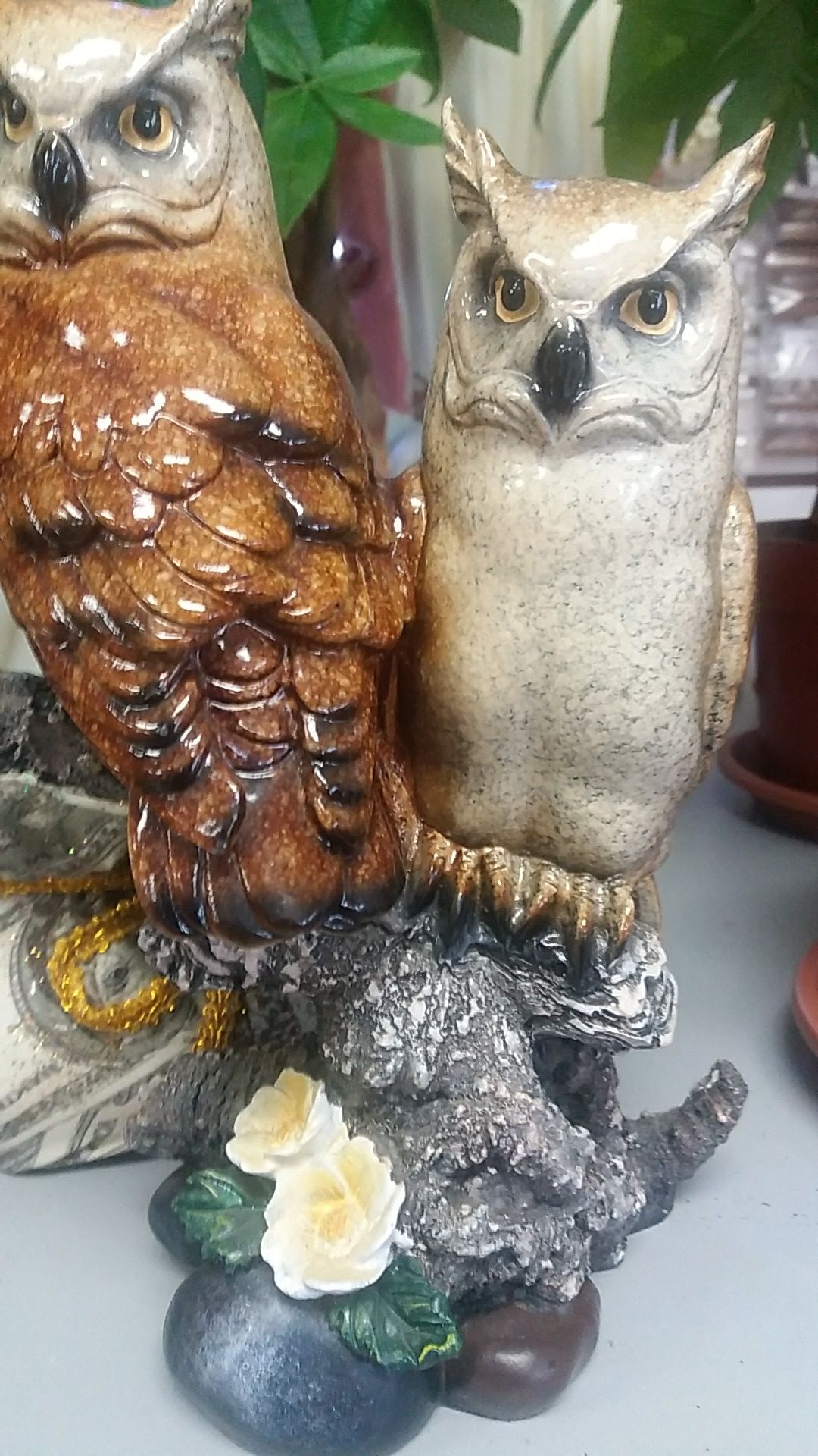 Bowls / Owl decor