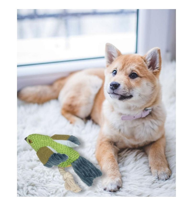 Pet Toy Squeaky Dog Toy,Bite Resistant Safe Plush Toy, Chew Toy with Squeaker and Crinkle Paper, Teeth Cleaning Toys for Puppy for Small,Medium,Large