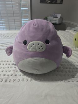 Marius the manatee