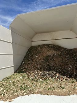 Wood Chips