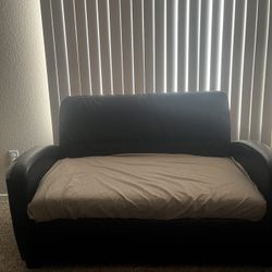 Free Twin Size Sleeper Sofa