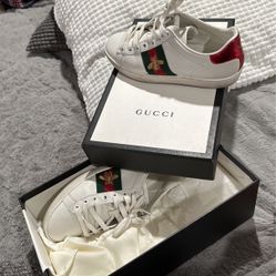Shoes Gucci 