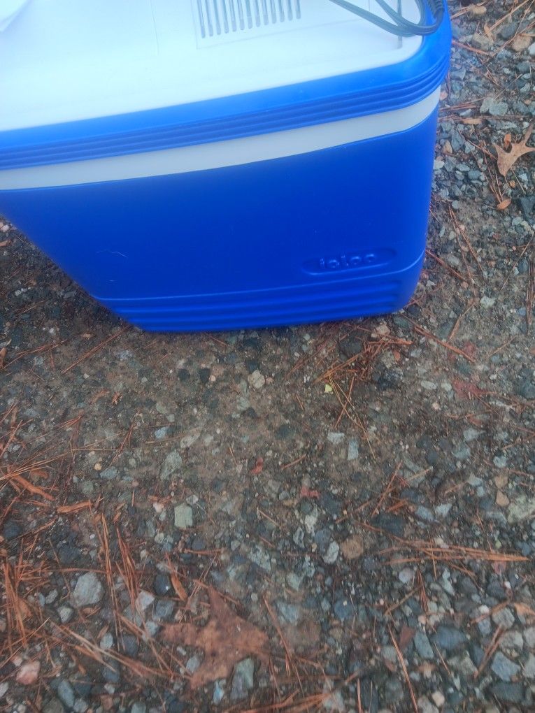 Igloo Cooler 12 Volts