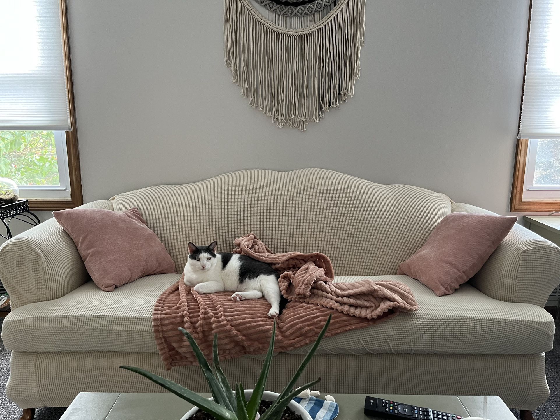 Couch
