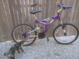 21 speed Mountain bike 24" tires