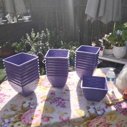 25 Square Purple Planter Pots