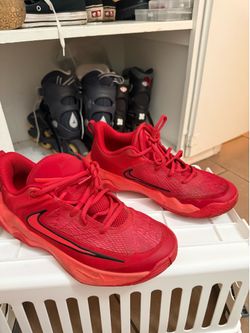 Nike Giannis Immortality Basketball Shoes –6.5 Y