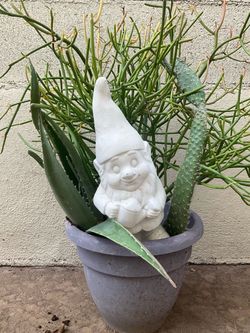 Garden items