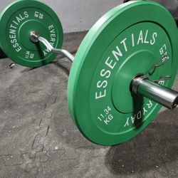 EZ CURL Bar With Weights