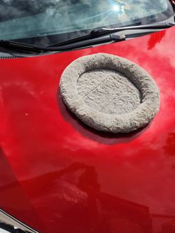 Nice small size kitty bed