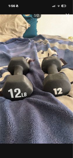 Weights, gym