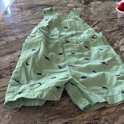 Cute Dinosaur Overalls