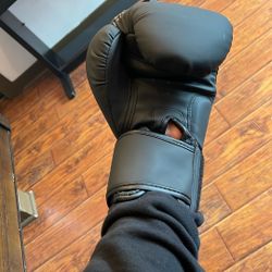 Liberlupus Boxing Gloves 