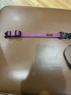 Kong Collar