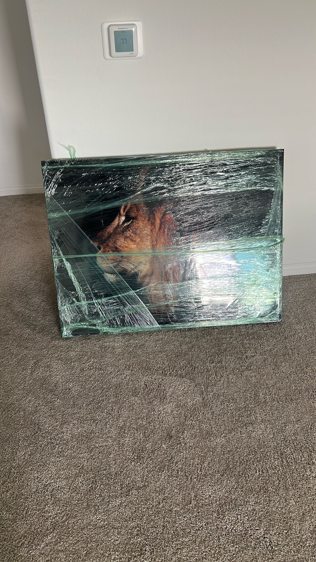 Lion Home Canvas